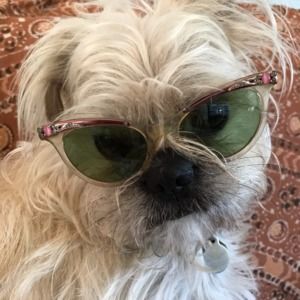 Meet your Posher, Rebecca